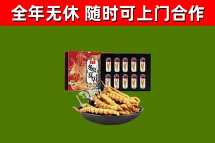 西塞山区烟酒回收冬虫夏草礼盒.jpg