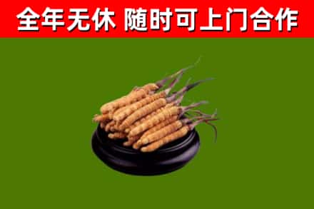 西塞山区烟酒回收冬虫夏草.jpg